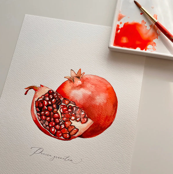 AKVARELL WORKSHOP  Articsóka és gránátalma (Kezdő szint) NOVEMBER 8.